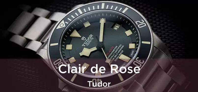  Clair de Rose Tudor