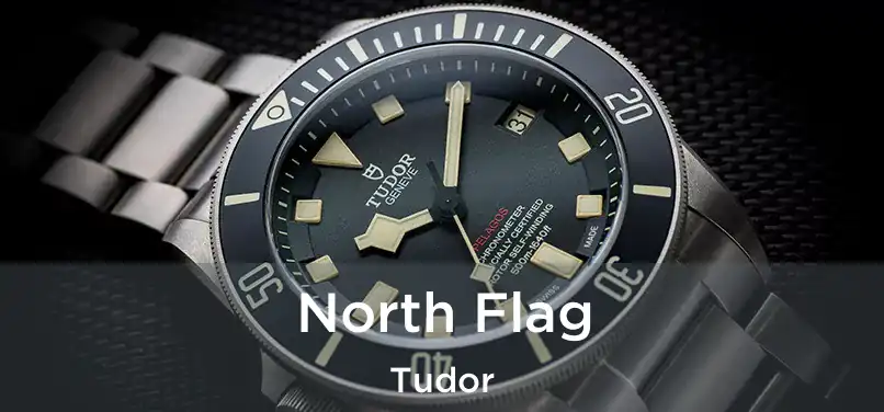  North Flag Tudor